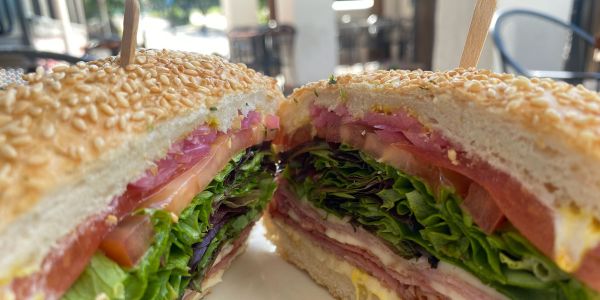 Grilled Ham & Cheese Sandwich 