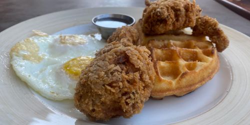 Chicken & Waffle